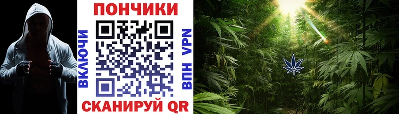 Где можно купить наркотики Катайск МЕТАМФЕТАМИН  Alpha PVP  АМФ  Канабис  Мефедрон  МЕГА tor  КОКАИН  Гашиш 