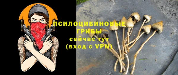 MDMA Верхний Тагил