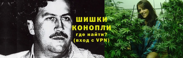 твердый Богородск